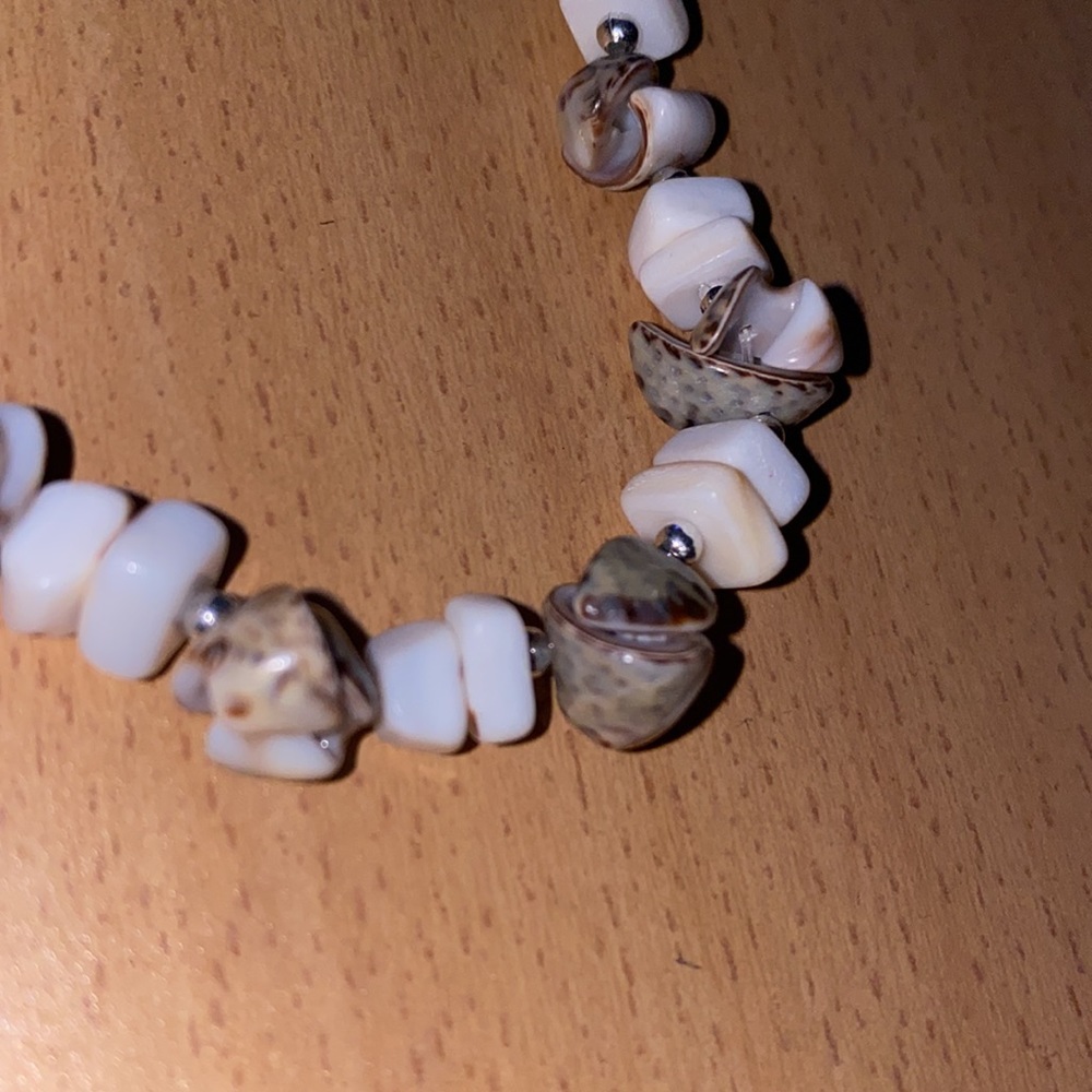 Shell Necklace - Picture 3 of 3